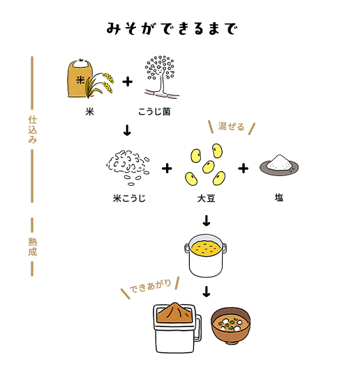 みそができるまで