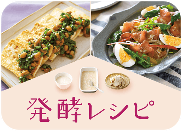発酵レシピ