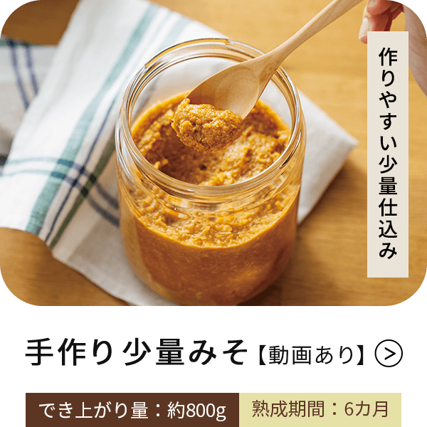 手作り 少量みそ【動画あり】