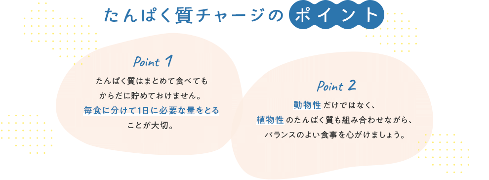 たんぱく質チャージのポイント