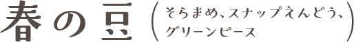 春の豆