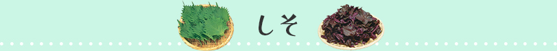 しそ