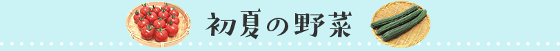 初夏の野菜
