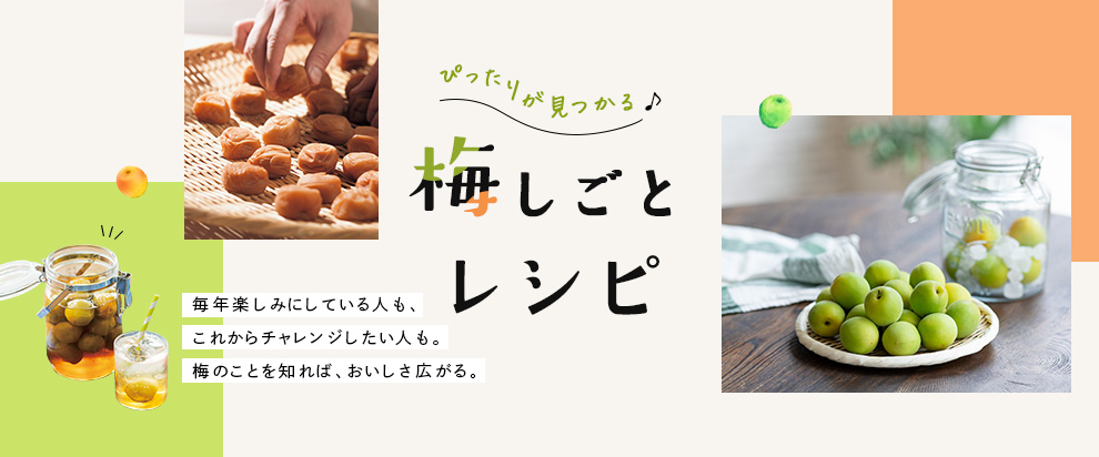 梅しごとレシピ