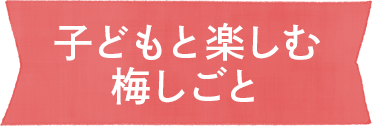 子どもと楽しむ梅しごと