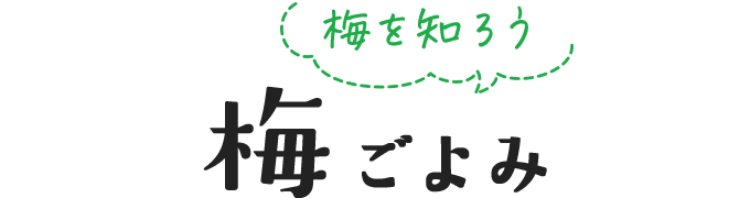 梅を知ろう 梅ごよみ