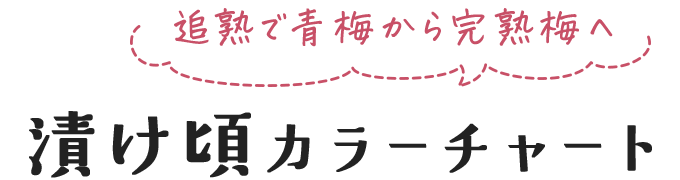 追熟で青梅から完熟梅へ 漬け頃カラーチャート