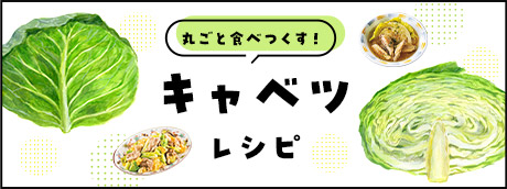 キャベツレシピ