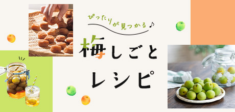 梅しごとレシピ